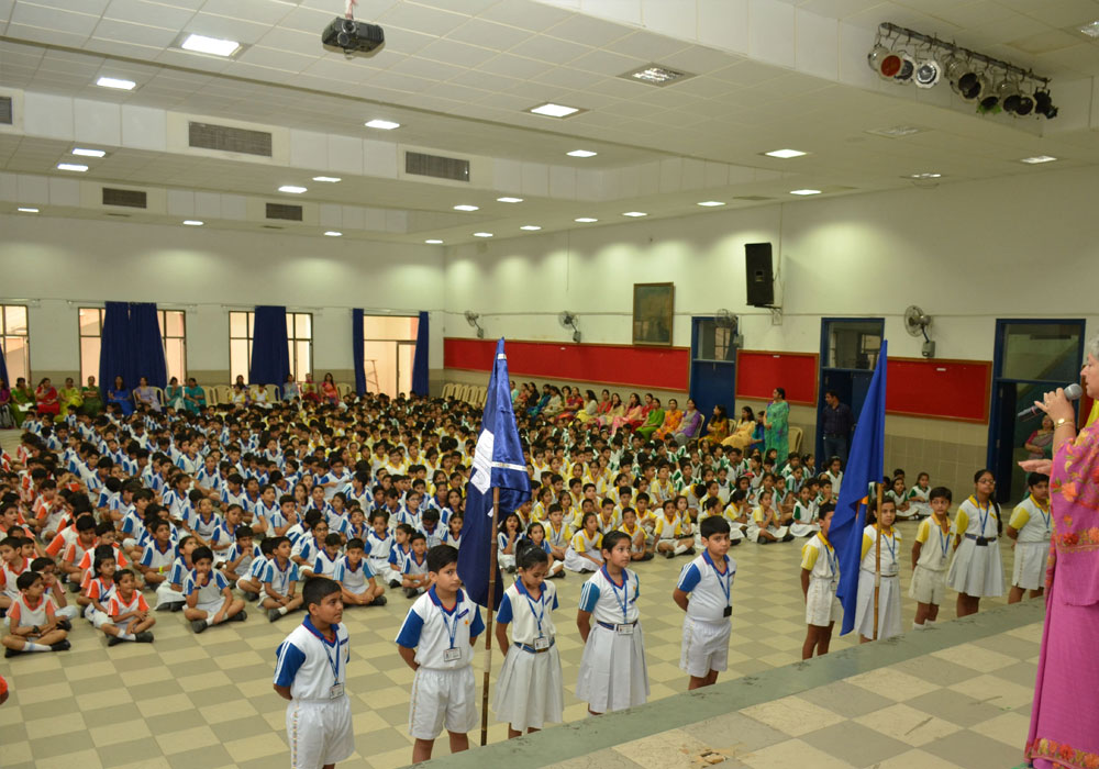 Vacancy in sanskar international school, bargarh picture